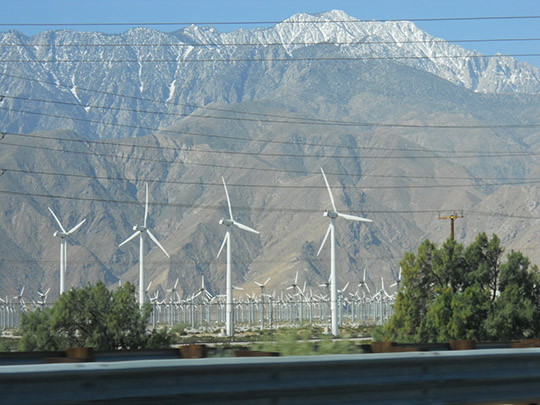 Palm Springs_001