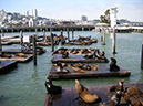 Fisherman's Wharf_002