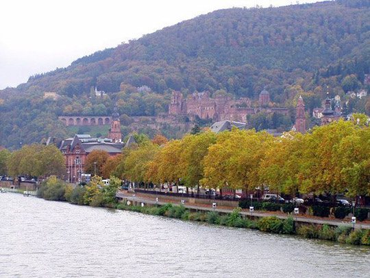 heidelberg_germany_0003