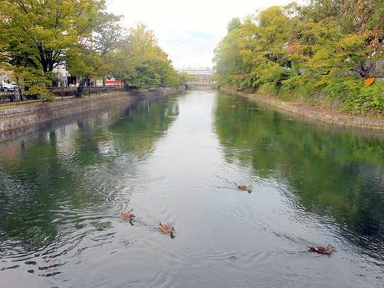 Kyoto_20110419_066