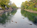 Kyoto_20110419_066