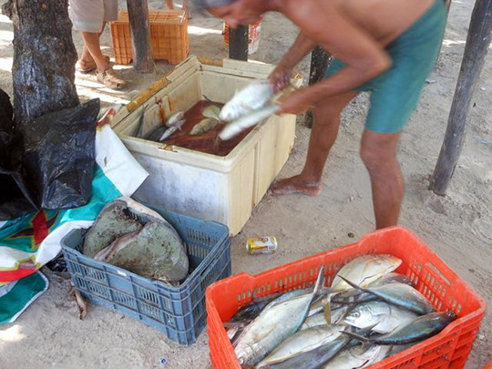 Isla Mujeres_20120810_038