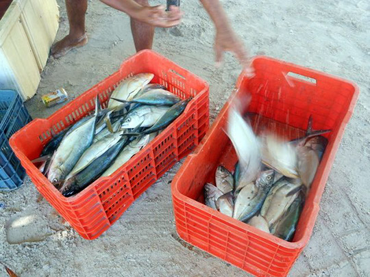 Isla Mujeres_20120810_039