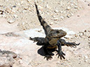 Isla Mujeres_20120810_014