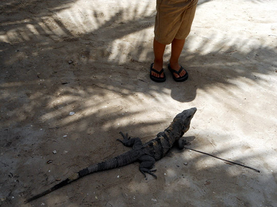 Tulum_20120814_028