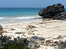 Tulum_20120814_022