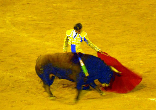 Bullfights_20100814_004