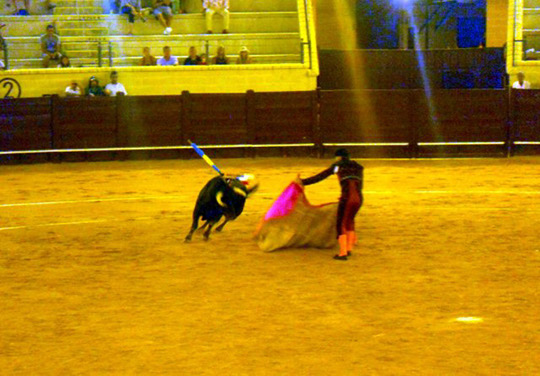 Bullfights_20100814_003