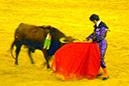 Bullfights_20100814_007