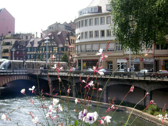 strasbourg_5